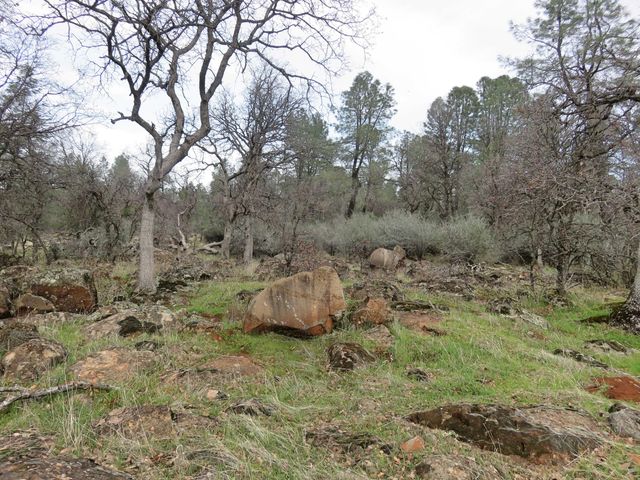 41 acres Ash Creek Road, Anderson, CA 96007