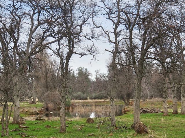 41 acres Ash Creek Road, Anderson, CA 96007