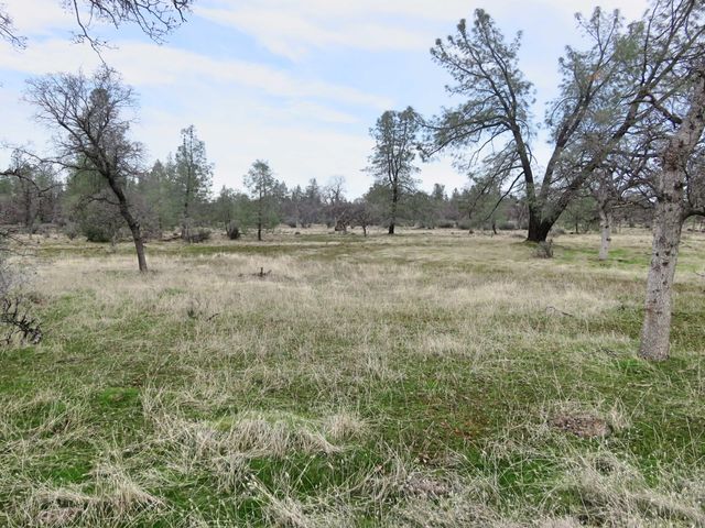41 acres Ash Creek Road, Anderson, CA 96007