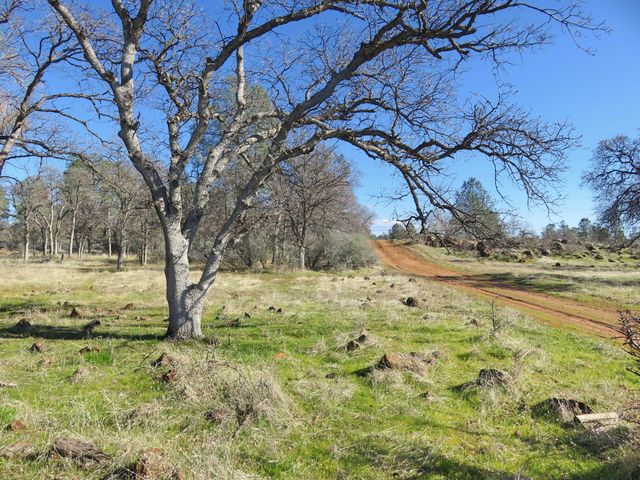 41 acres Ash Creek Road, Anderson, CA 96007