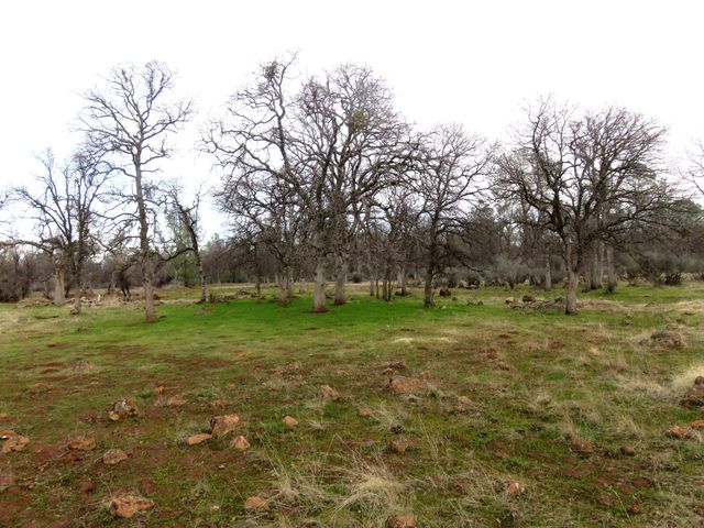 41 acres Ash Creek Road, Anderson, CA 96007
