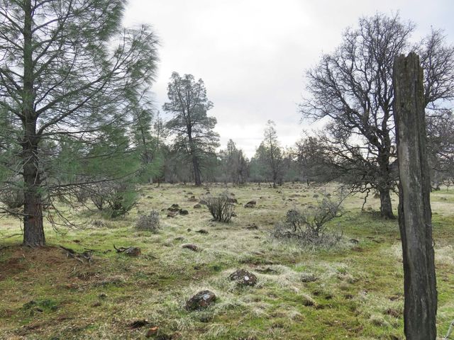41 acres Ash Creek Road, Anderson, CA 96007