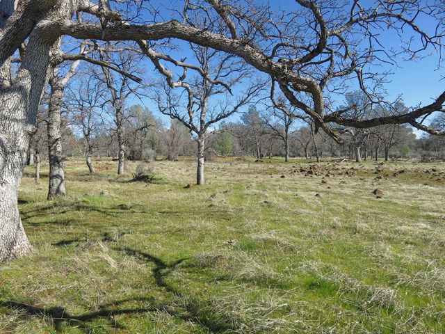 41 acres Ash Creek Road, Anderson, CA 96007
