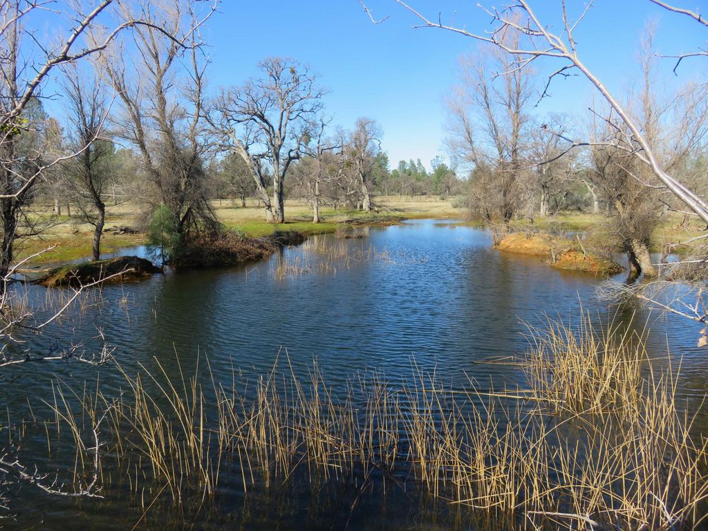 41 acres Ash Creek Road, Anderson, CA 96007