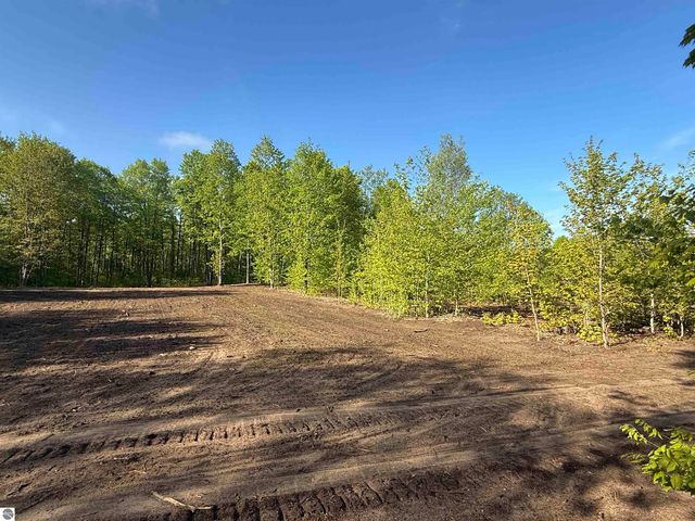 1128 E Solaris Way, Maple City, MI 49664