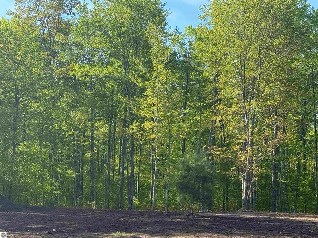 1128 E Solaris Way, Maple City, MI 49664