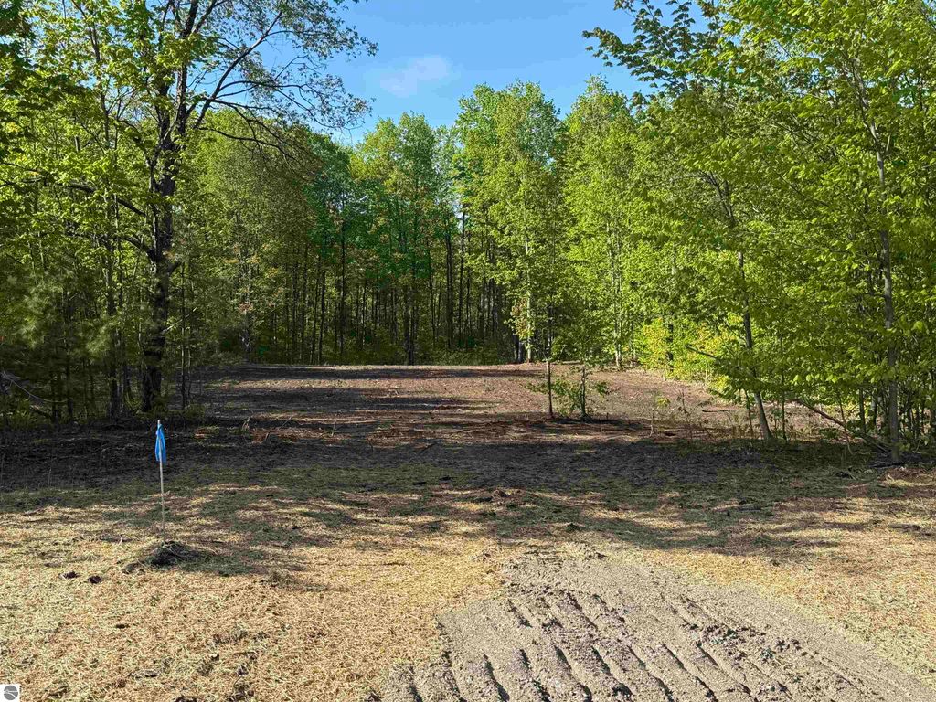 1128 E Solaris Way, Maple City, MI 49664