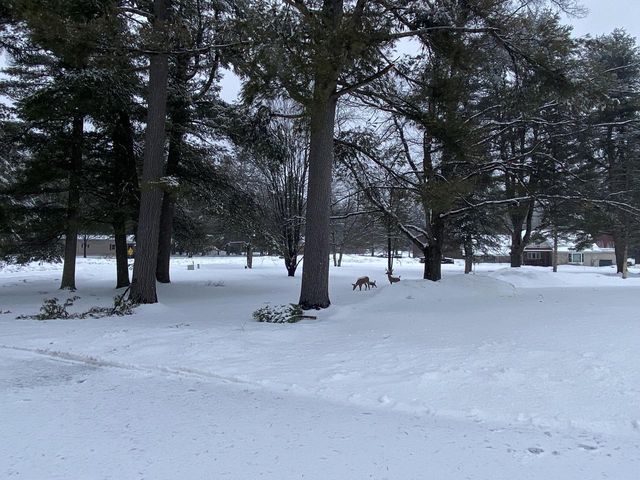 N18720 Venstra DRIVE, Pembine, WI 54156