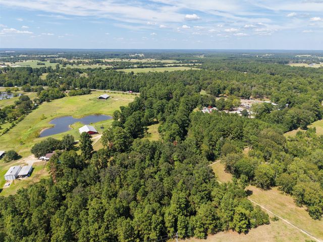 188 State Highway 150, New Waverly, TX 77358