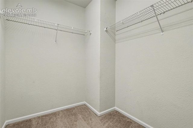7681 Sandy Springs Point, Fountain, CO 80817