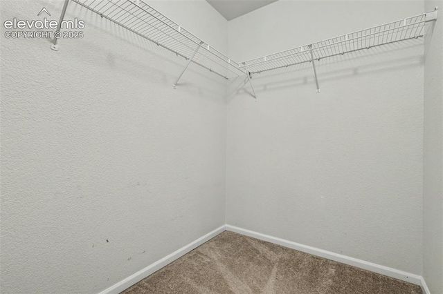 7681 Sandy Springs Point, Fountain, CO 80817