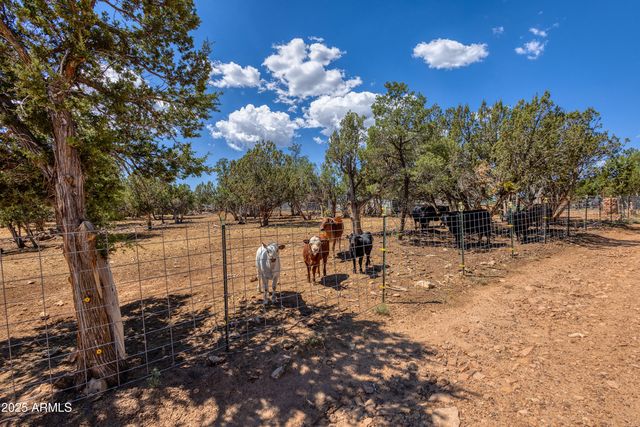 3332 BEAR HEIGHTS Road -, Heber, AZ 85928