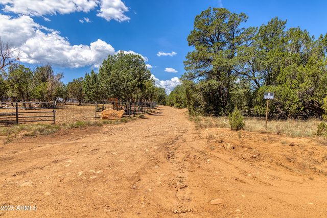 3332 BEAR HEIGHTS Road -, Heber, AZ 85928