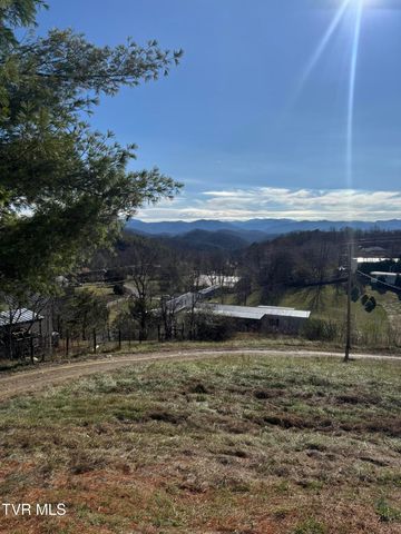 130 Lewis Blevins Road, Elizabethton, TN 37643