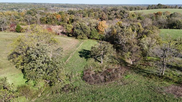 296 316 State Highway, Clever, MO 65631