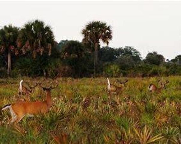15883 NW 276th Street, Okeechobee, FL 34972
