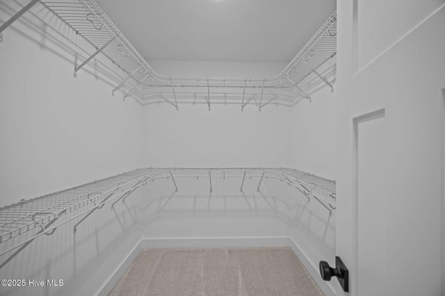 109 Lady O Drive A, Greenville, NC 27834