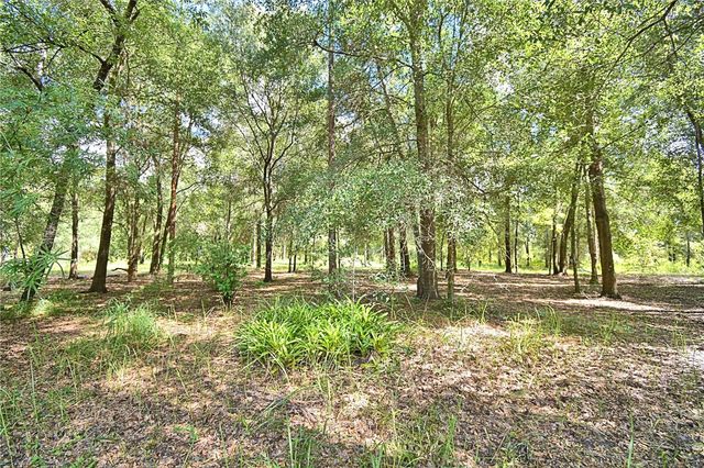 6711 REDWING ROAD, Groveland, FL 34736