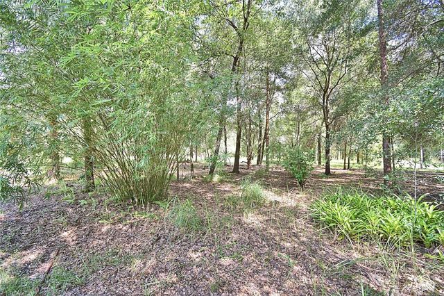 6711 REDWING ROAD, Groveland, FL 34736