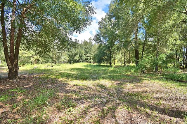 6711 REDWING ROAD, Groveland, FL 34736