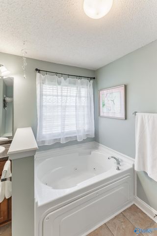 201 Summer Cove Circle, Madison, AL 35757