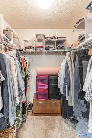 201 Summer Cove Circle, Madison, AL 35757