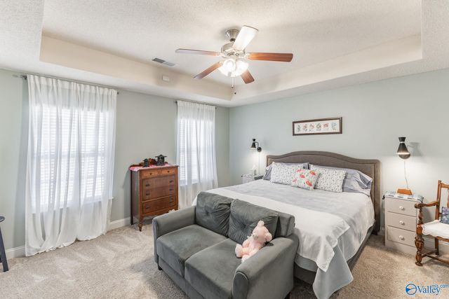 201 Summer Cove Circle, Madison, AL 35757