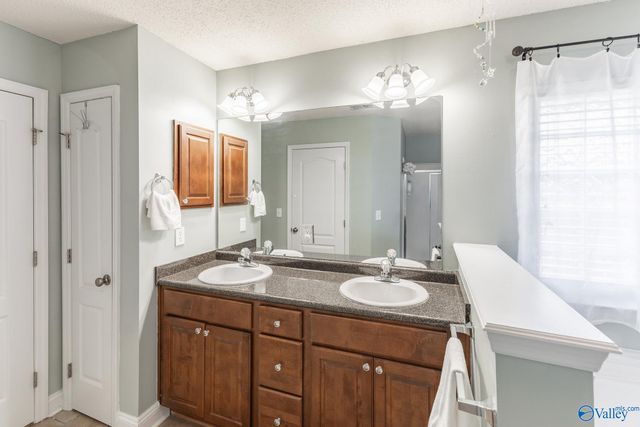 201 Summer Cove Circle, Madison, AL 35757