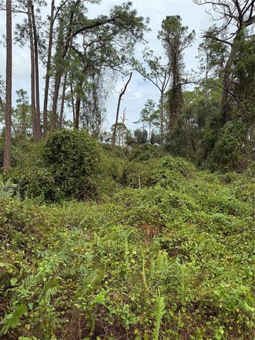 15518 STATE ROAD 19, Groveland, FL 34736