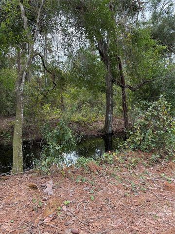 15518 STATE ROAD 19, Groveland, FL 34736