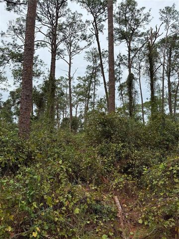 15518 STATE ROAD 19, Groveland, FL 34736