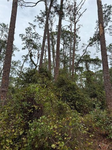 15518 STATE ROAD 19, Groveland, FL 34736