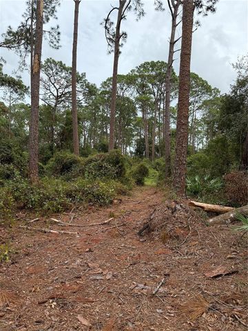 15518 STATE ROAD 19, Groveland, FL 34736