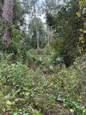 15518 STATE ROAD 19, Groveland, FL 34736