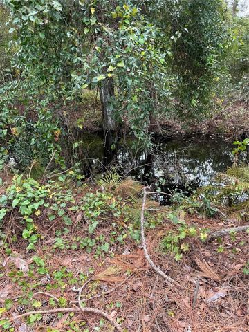 15518 STATE ROAD 19, Groveland, FL 34736