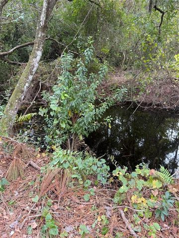 15518 STATE ROAD 19, Groveland, FL 34736