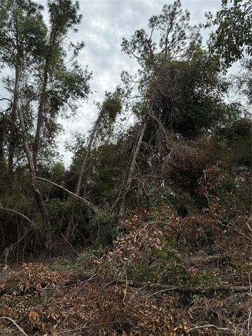 15518 STATE ROAD 19, Groveland, FL 34736