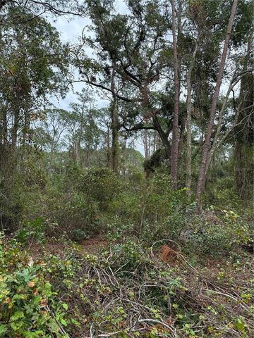 15518 STATE ROAD 19, Groveland, FL 34736