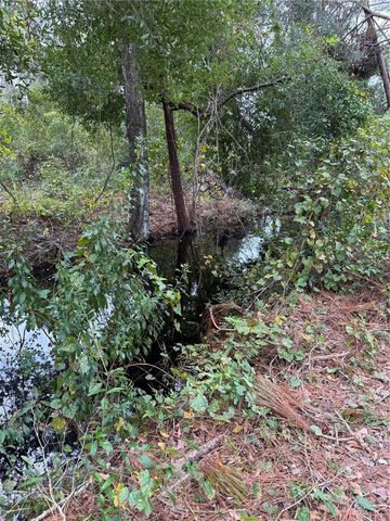 15518 STATE ROAD 19, Groveland, FL 34736