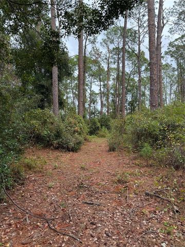 15518 STATE ROAD 19, Groveland, FL 34736