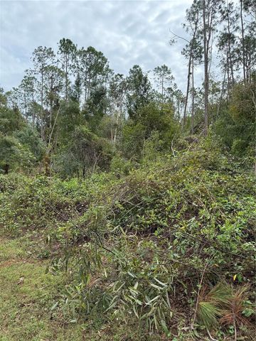 15518 STATE ROAD 19, Groveland, FL 34736