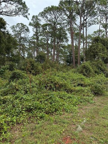 15518 STATE ROAD 19, Groveland, FL 34736