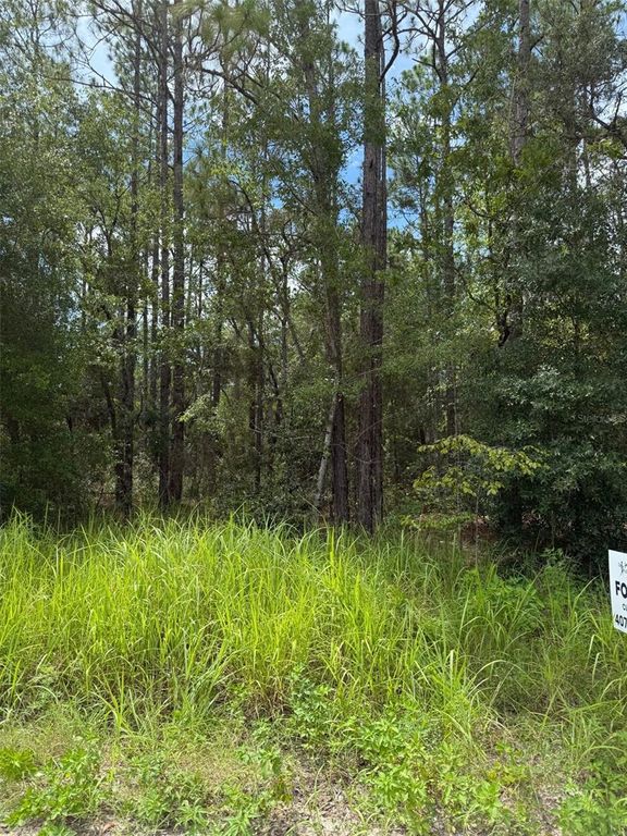 4500 SW 175 COURT, Dunnellon, FL 34432
