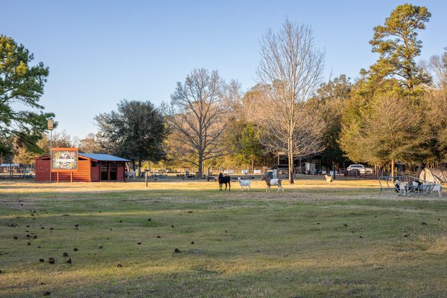 8035 Jack Island Drive, Johns Island, SC 29455