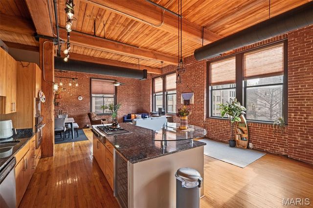 507 N 13th Street 410, St Louis, MO 63103