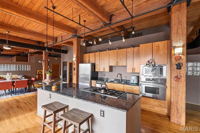 507 N 13th Street 410, St Louis, MO 63103