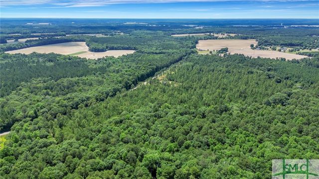 8824 Sinkhole Road, Statesboro, GA 30458