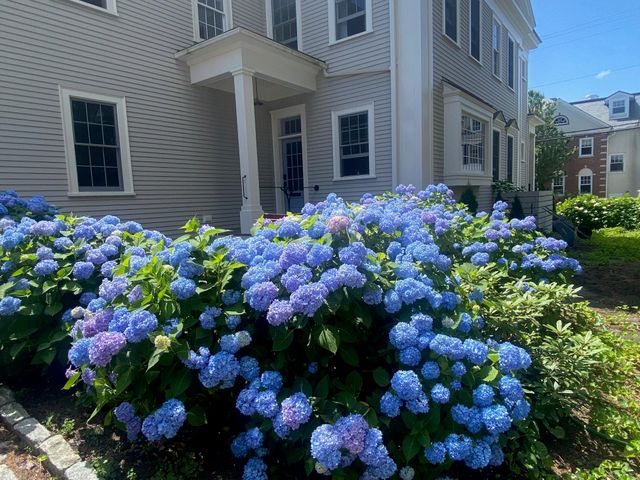 353 Pleasant Street, Portsmouth, NH 03801