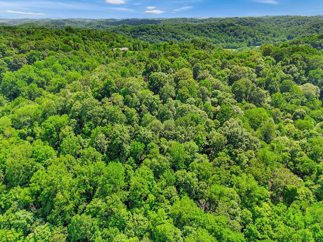 0 Tranham Rd, Whites Creek, TN 37189