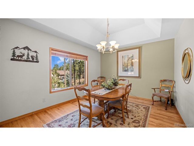 1230 Woodland Valley Ranch Dr, Woodland Park, CO 80863